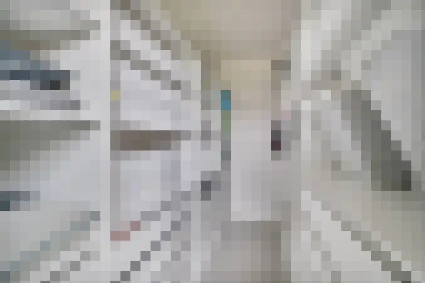 Nes 7 E Schagen thumbnail 59