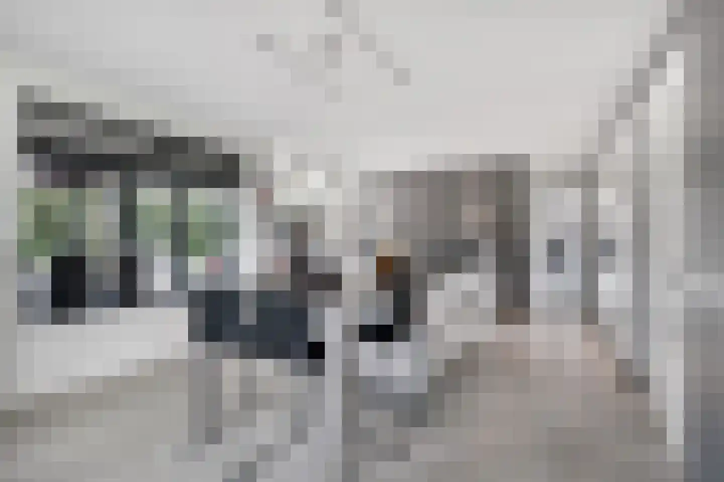 Nes 7 E Schagen thumbnail 7