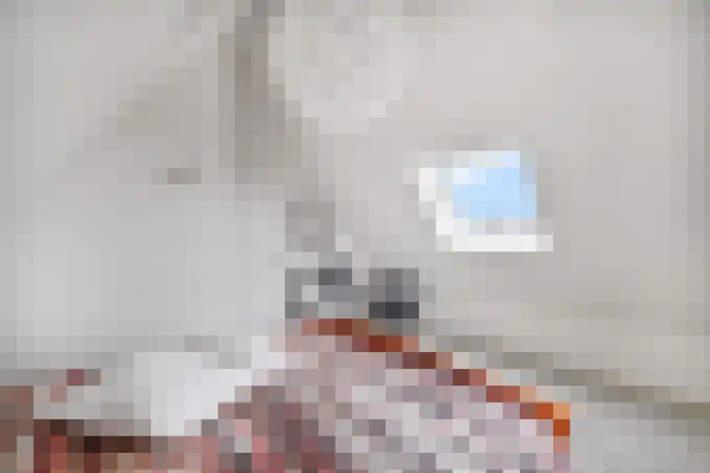 Nes 7 E Schagen thumbnail 76