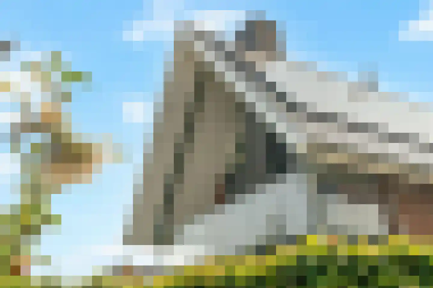 Nes 7 E Schagen thumbnail 81