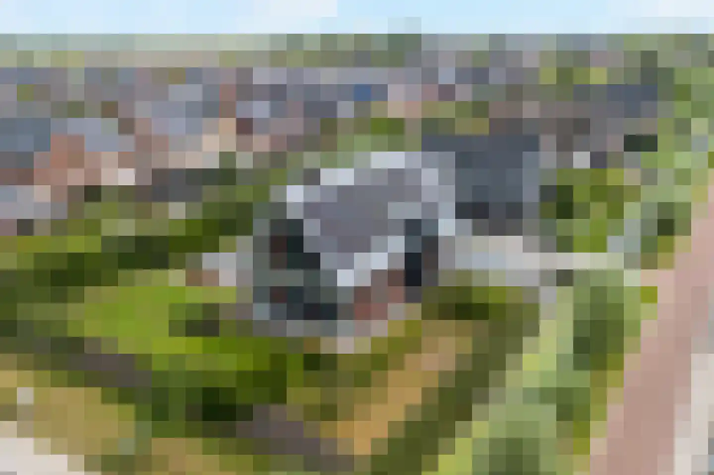 Nes 7 E Schagen thumbnail 82