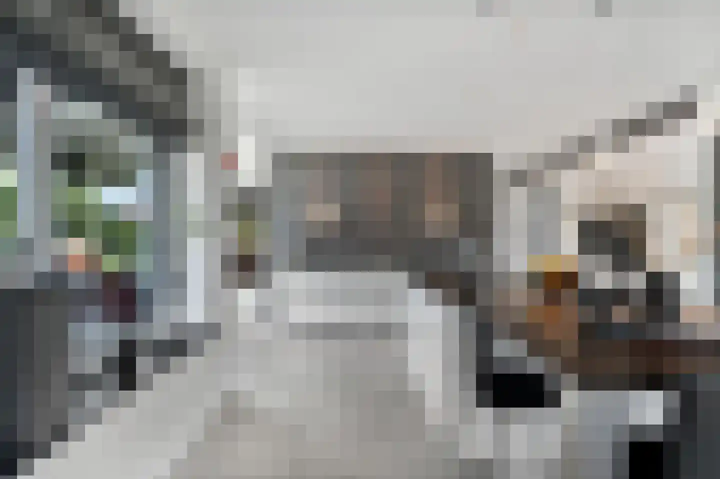 Nes 7 E Schagen thumbnail 9