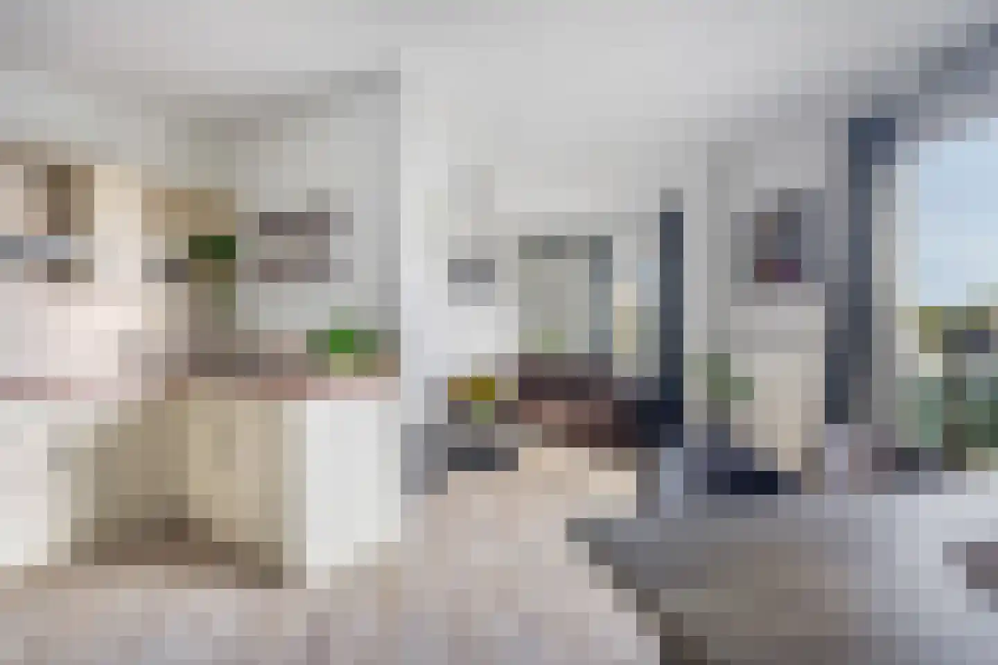 Nes 75 Pijnacker thumbnail 11