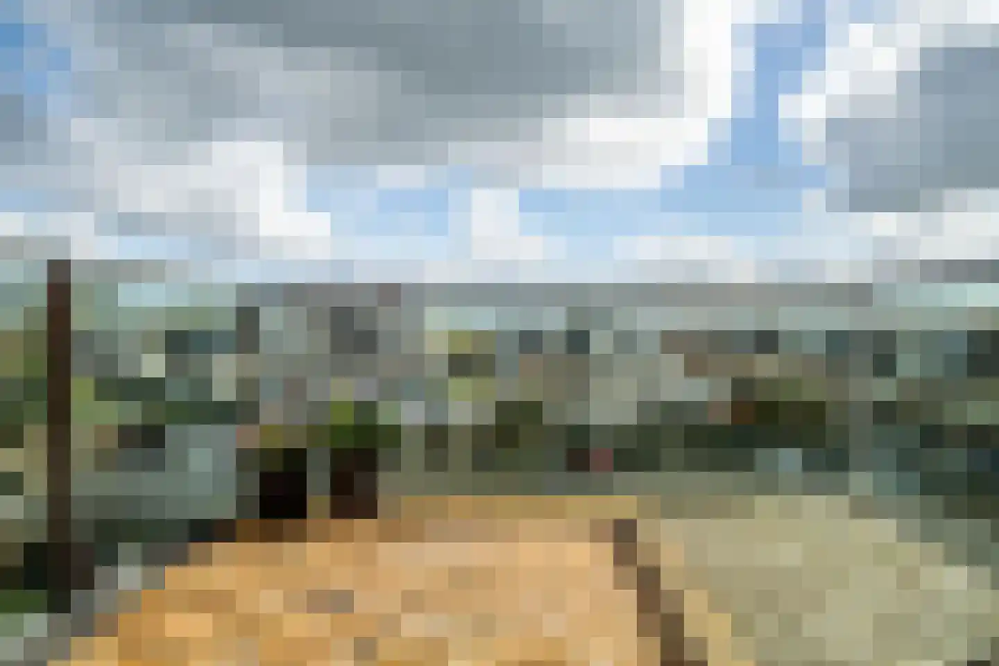 Nes 75 Pijnacker thumbnail 14