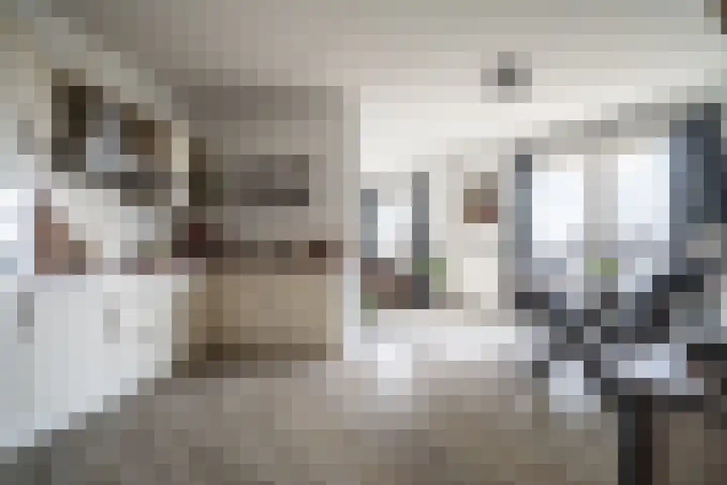Nes 75 Pijnacker thumbnail 17