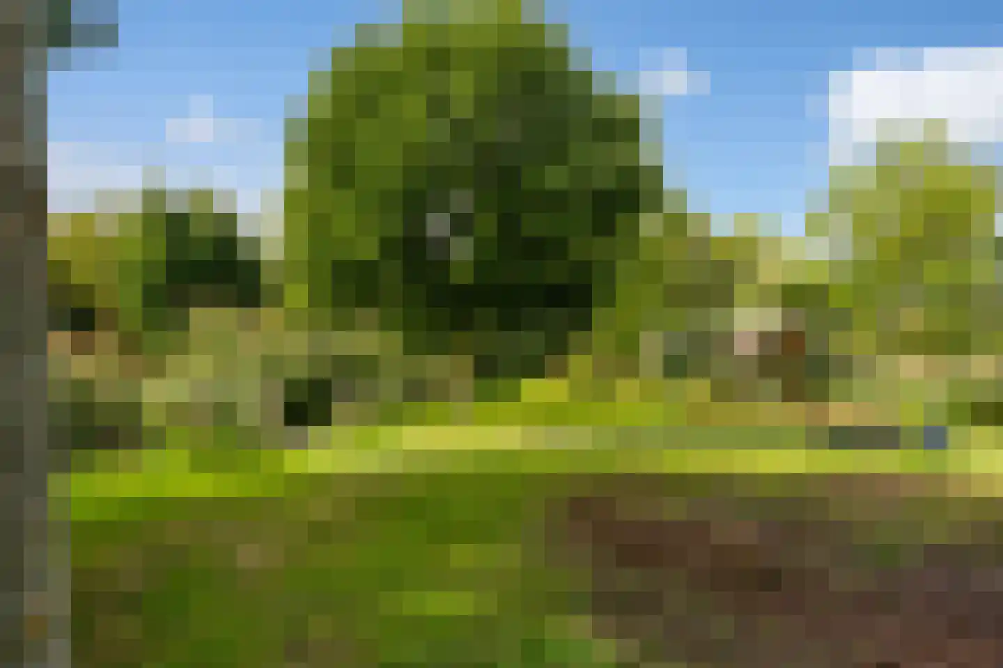 Nes 75 Pijnacker thumbnail 24
