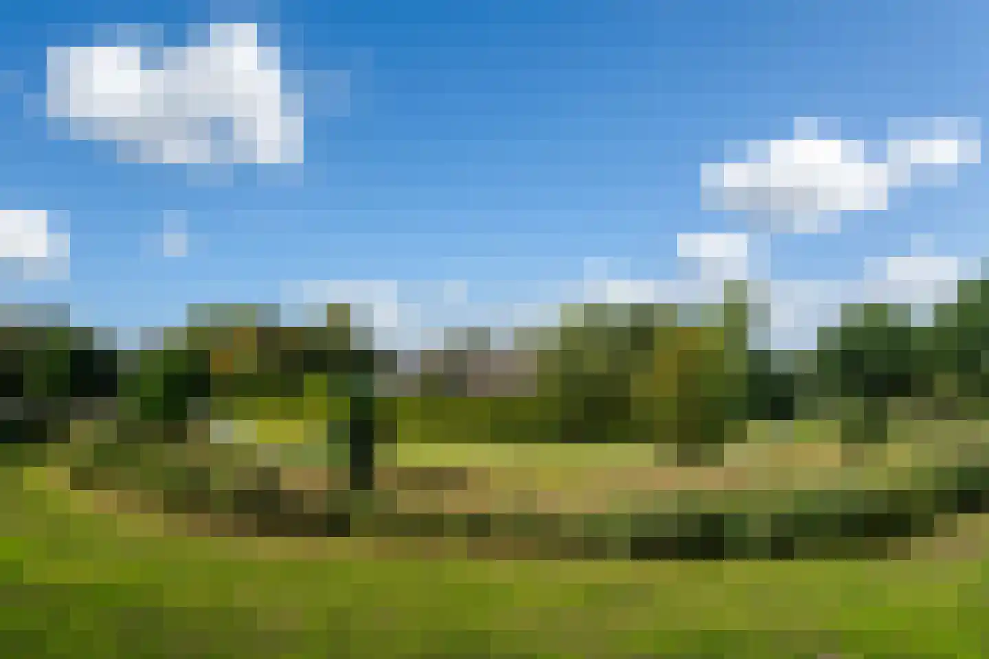 Nes 75 Pijnacker thumbnail 25