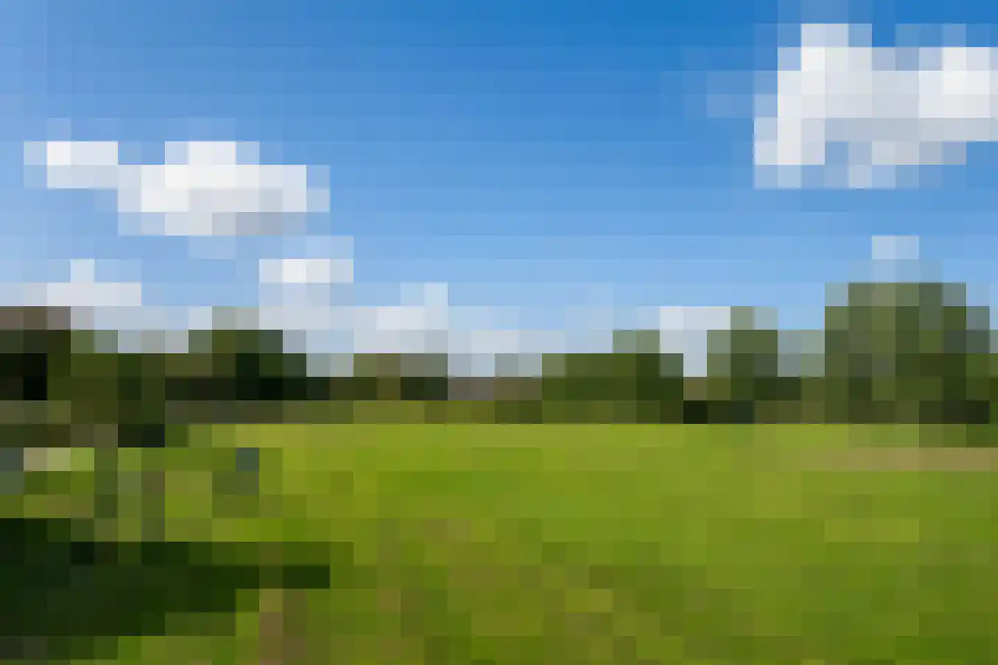 Nes 75 Pijnacker thumbnail 26