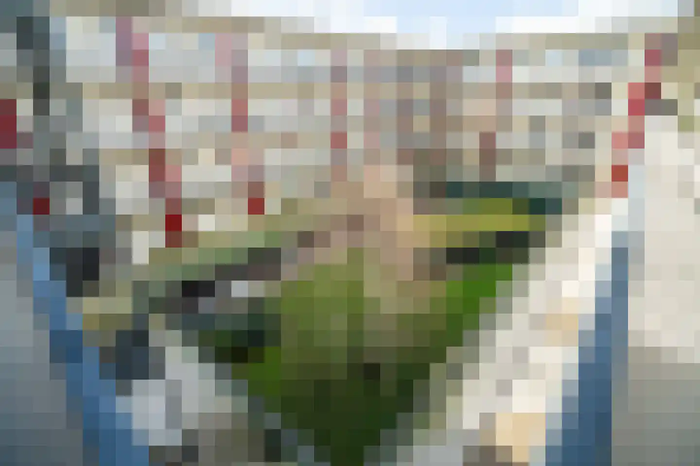 Nes 75 Pijnacker thumbnail 31