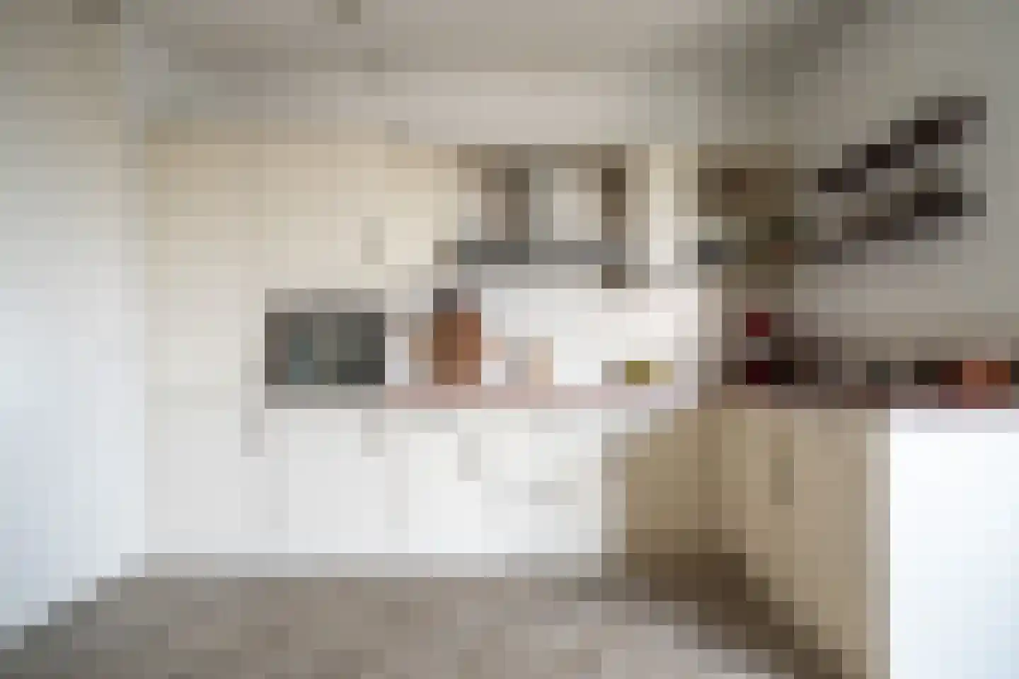 Nes 75 Pijnacker thumbnail 4