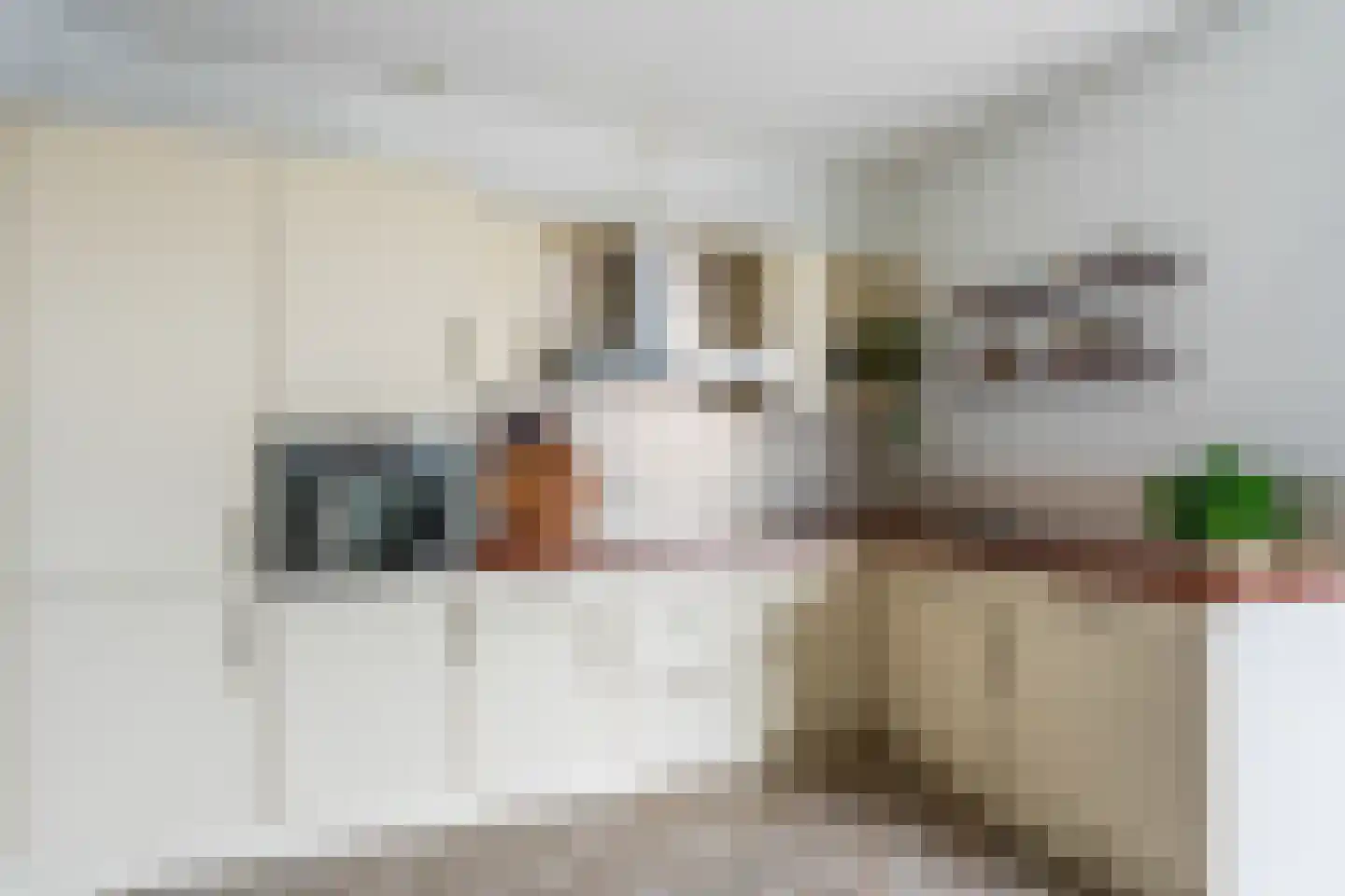 Nes 75 Pijnacker thumbnail 4