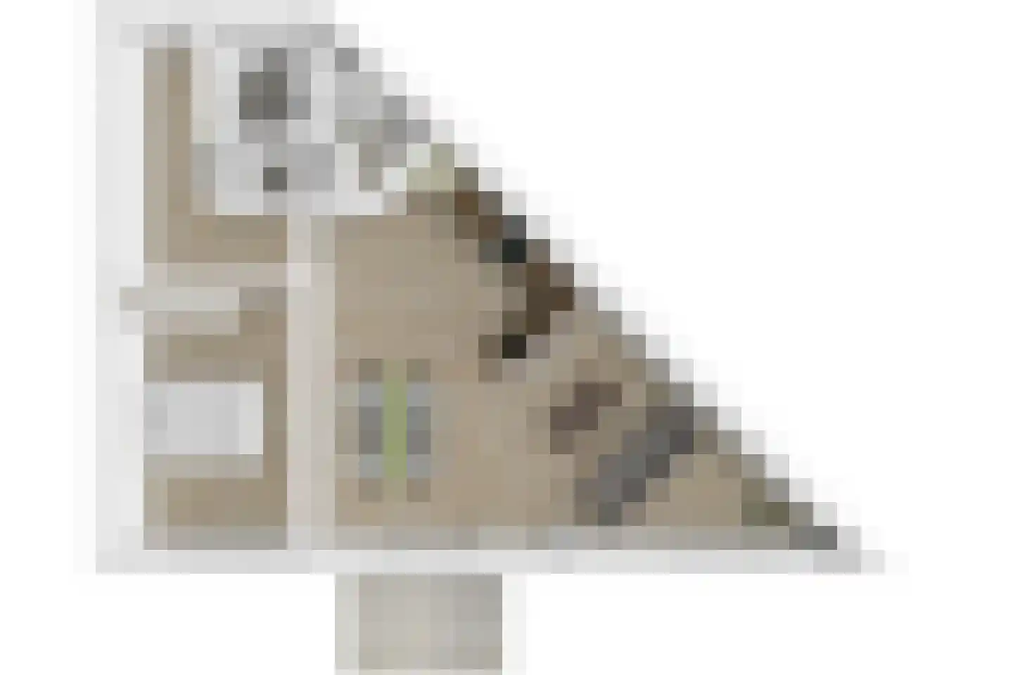 Nes 75 Pijnacker thumbnail 44