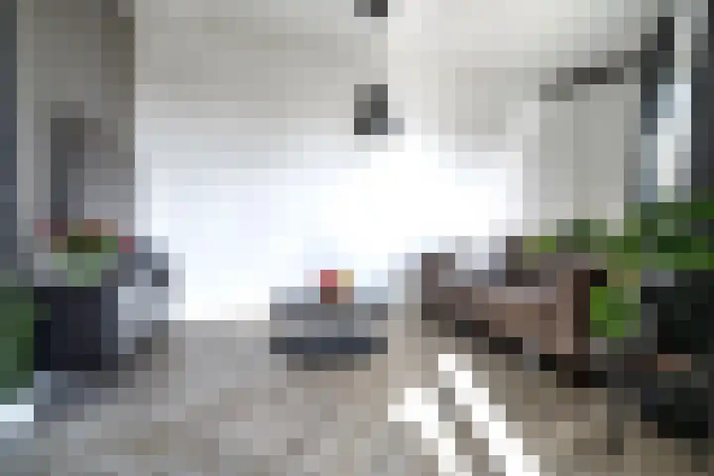 Nes 75 Pijnacker thumbnail 6