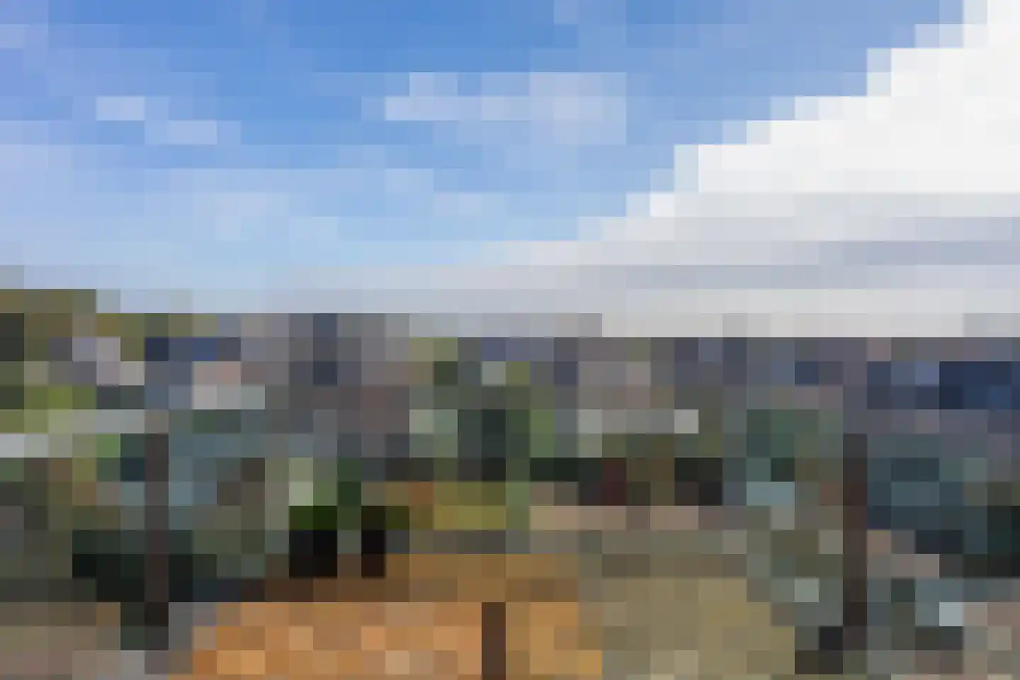 Nes 75 Pijnacker thumbnail 7