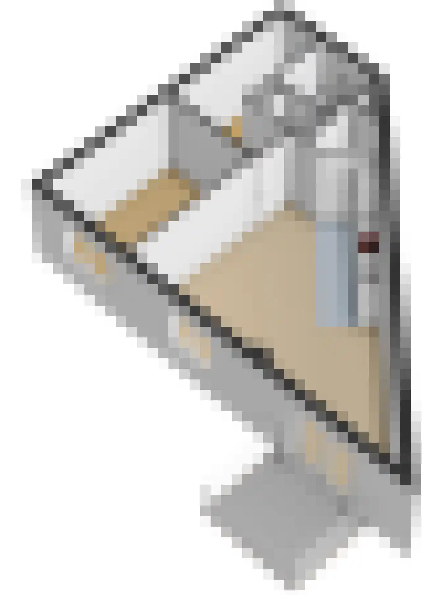 Nes 94 Pijnacker thumbnail 33