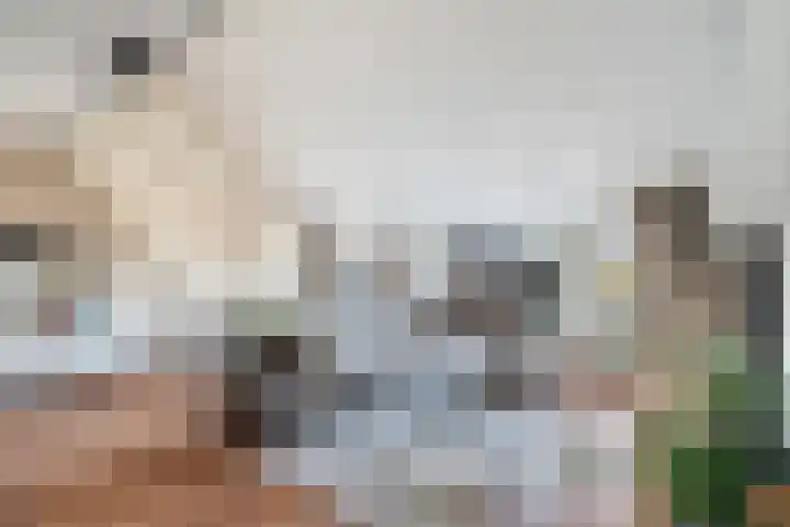 Nesciohove 39 Zoetermeer thumbnail 10