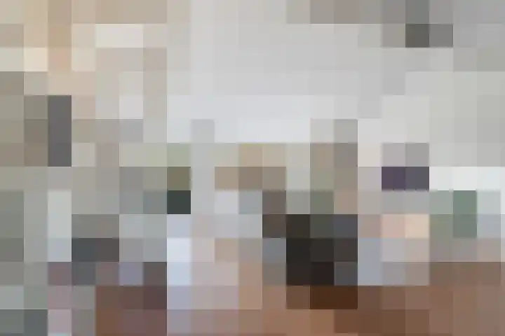 Nesciohove 39 Zoetermeer thumbnail 11