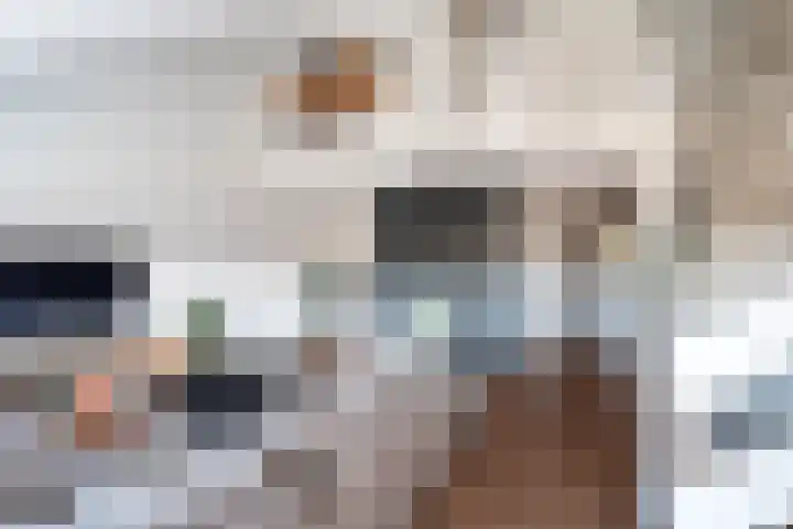 Nesciohove 39 Zoetermeer thumbnail 13