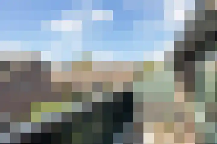 Nesciohove 39 Zoetermeer thumbnail 21