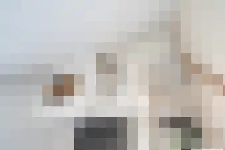 Nesciohove 39 Zoetermeer thumbnail 24