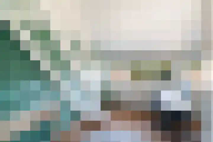 Nesciohove 39 Zoetermeer thumbnail 31