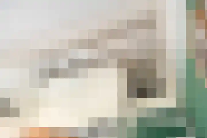 Nesciohove 39 Zoetermeer thumbnail 33