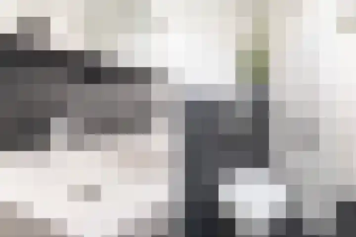 Nesciohove 39 Zoetermeer thumbnail 35