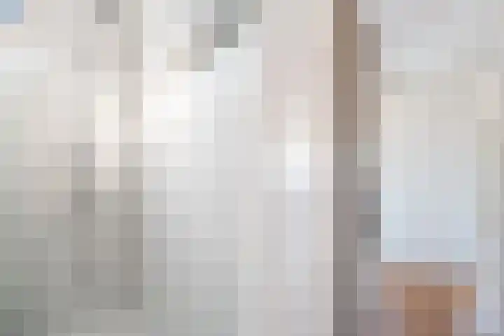Nesciohove 39 Zoetermeer thumbnail 37