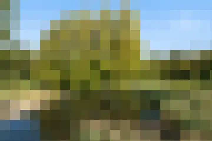 Nesciohove 39 Zoetermeer thumbnail 48