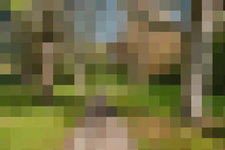 Nesciohove 39 Zoetermeer thumbnail 49