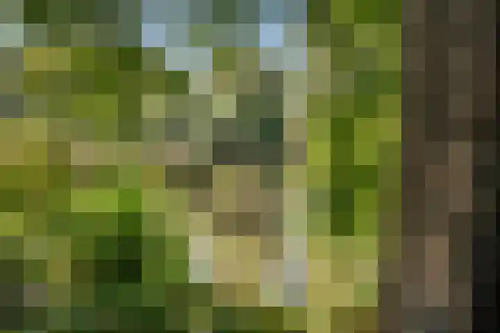 Nesciohove 39 Zoetermeer thumbnail 50