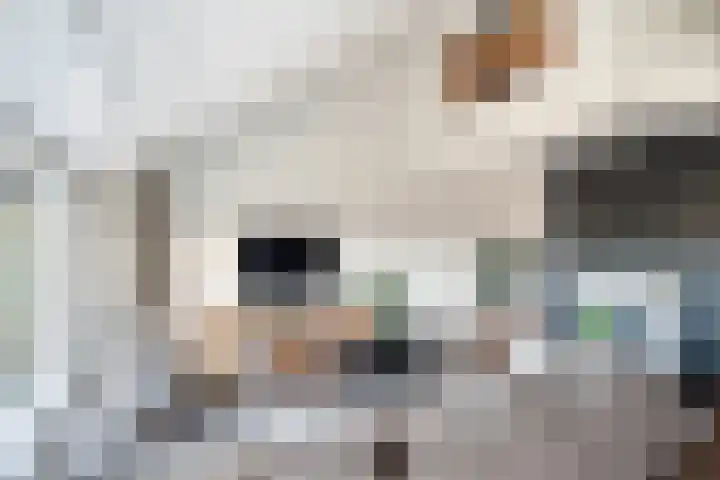 Nesciohove 39 Zoetermeer thumbnail 9