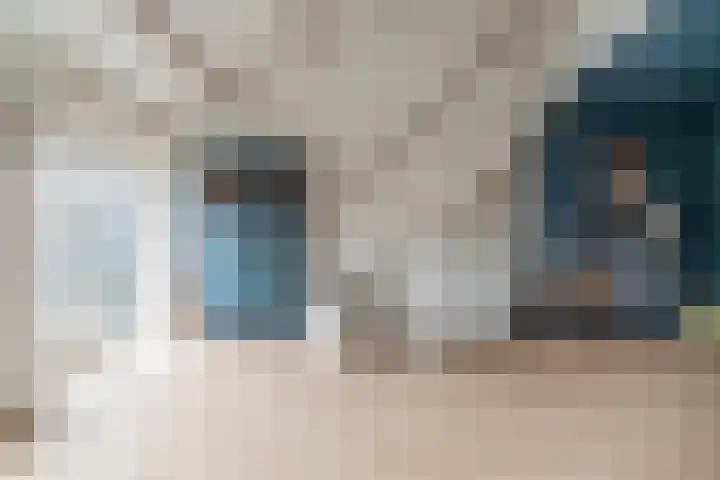 Nesciohove 73 Zoetermeer thumbnail 10