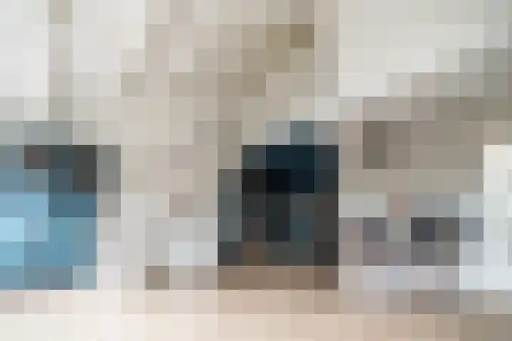 Nesciohove 73 Zoetermeer thumbnail 12