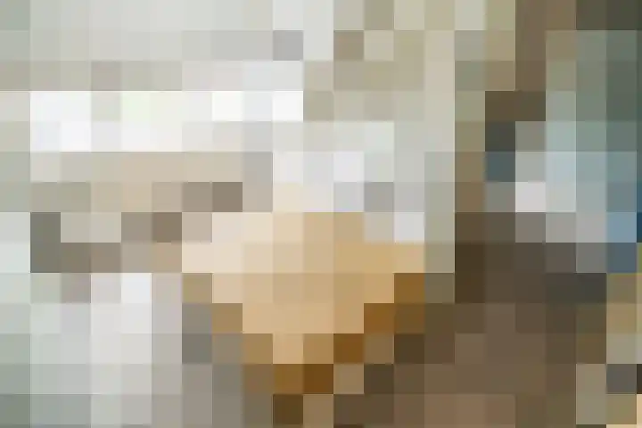 Nesciohove 73 Zoetermeer thumbnail 14