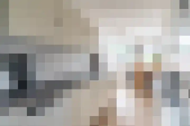 Nesciohove 73 Zoetermeer thumbnail 16