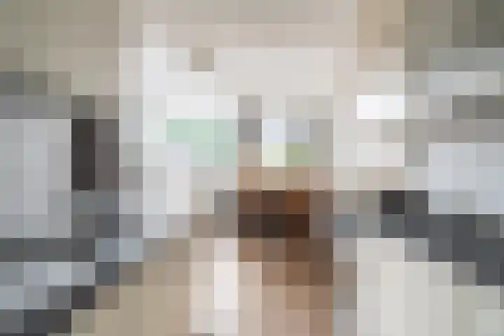 Nesciohove 73 Zoetermeer thumbnail 17