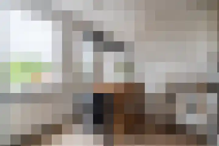 Nesciohove 73 Zoetermeer thumbnail 19