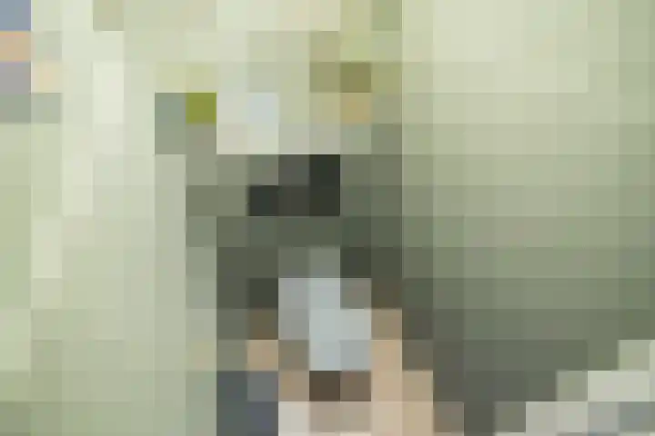 Nesciohove 73 Zoetermeer thumbnail 23