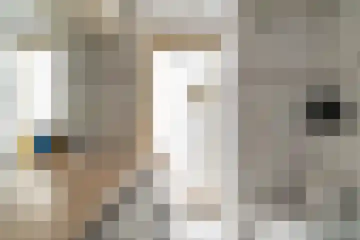 Nesciohove 73 Zoetermeer thumbnail 27