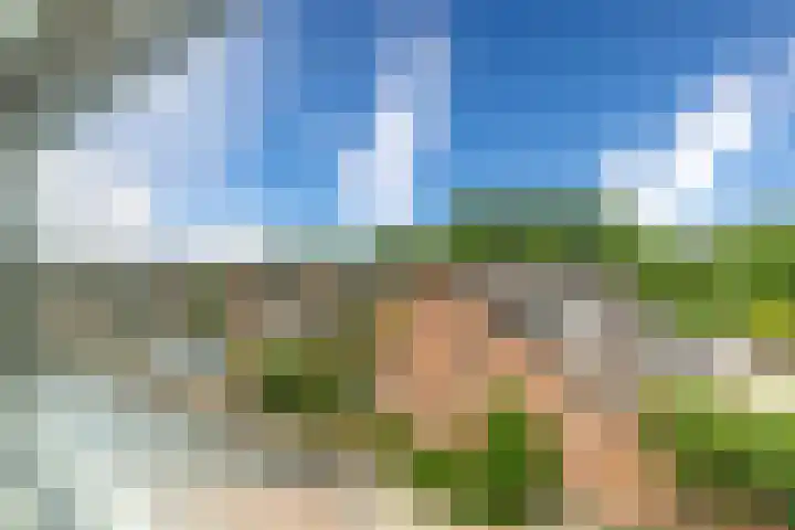 Nesciohove 73 Zoetermeer thumbnail 30