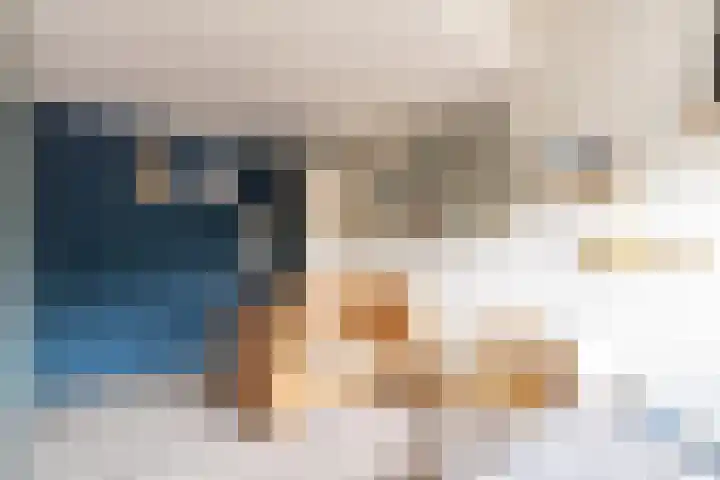 Nesciohove 73 Zoetermeer thumbnail 31