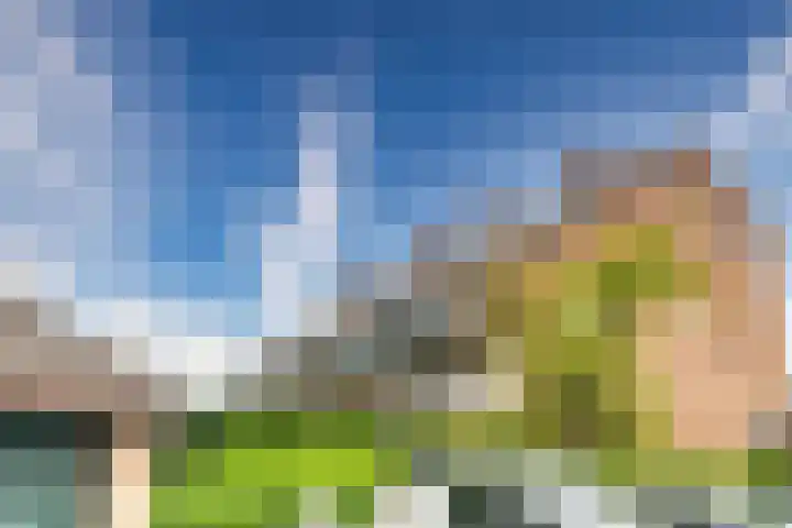 Nesciohove 73 Zoetermeer thumbnail 37