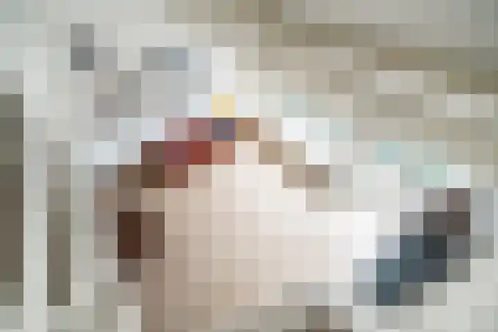Nesciohove 73 Zoetermeer thumbnail 4