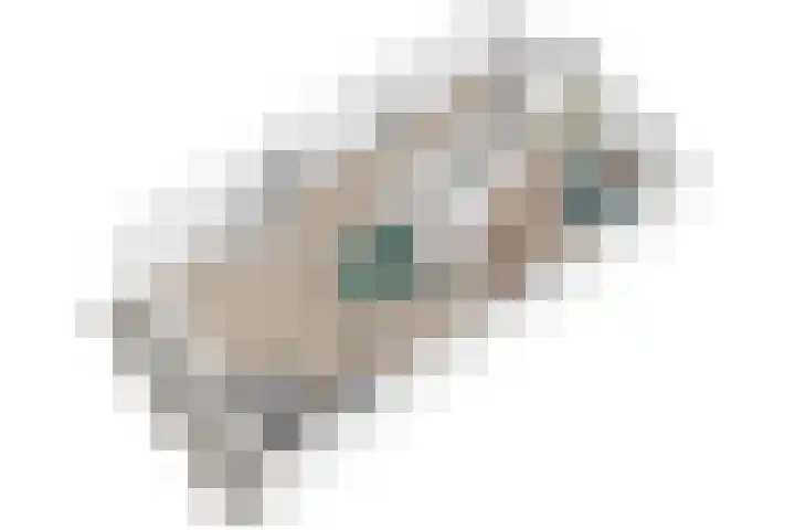 Nesciohove 73 Zoetermeer thumbnail 40