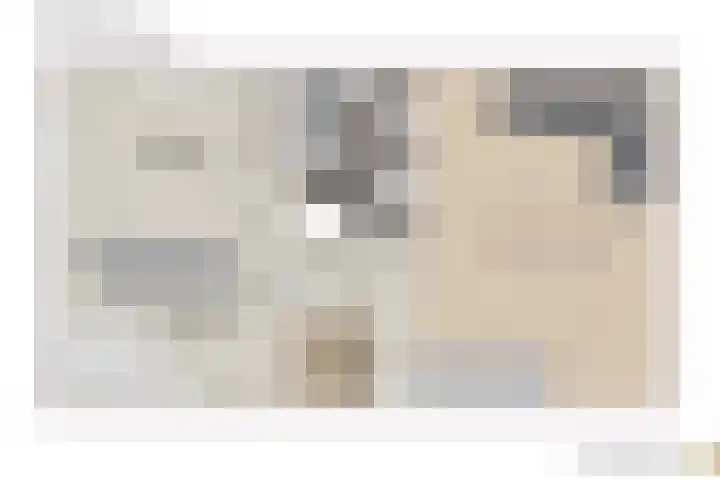 Nesciohove 73 Zoetermeer thumbnail 41