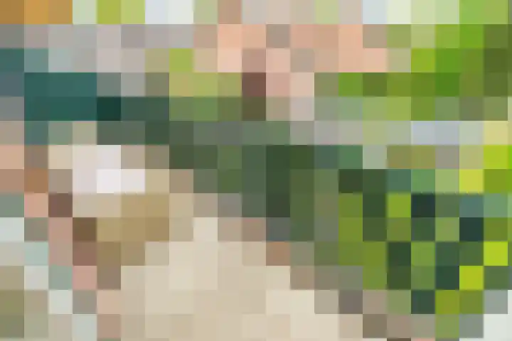 Nesciohove 73 Zoetermeer thumbnail 8