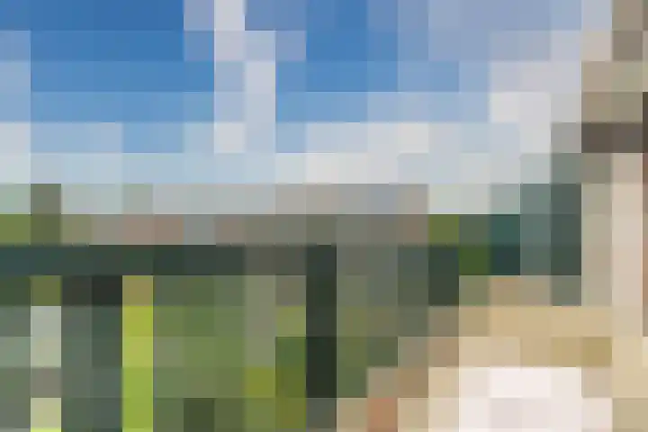 Nesciohove 73 Zoetermeer thumbnail 9
