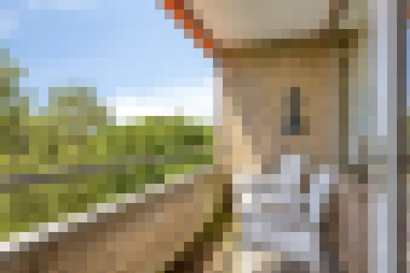 Nesciolaan 100 Haren Gn thumbnail 29