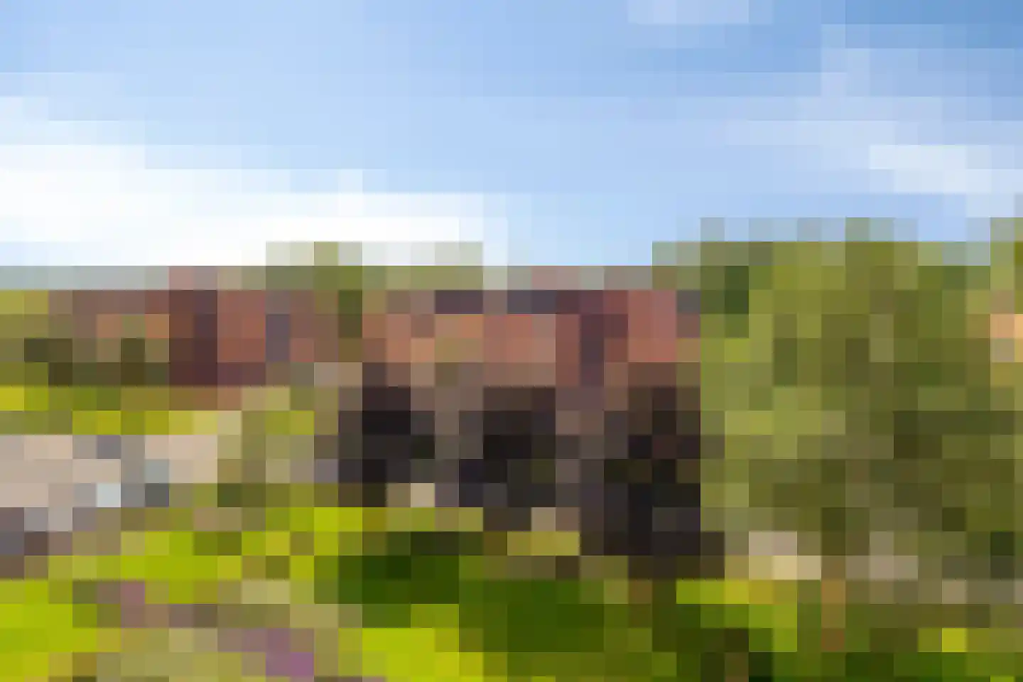 Nesciolaan 100 Haren Gn thumbnail 30
